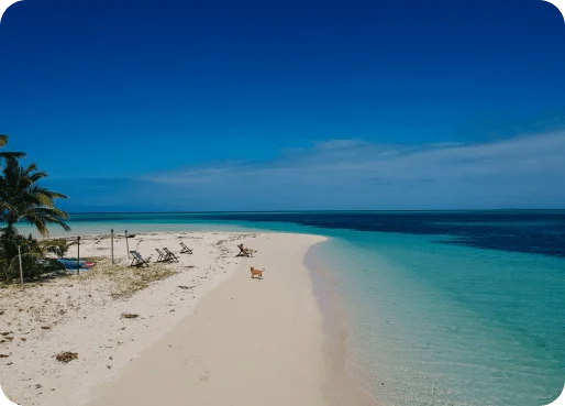 Fiji eSIM