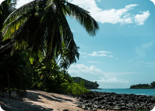 French Guiana eSIM