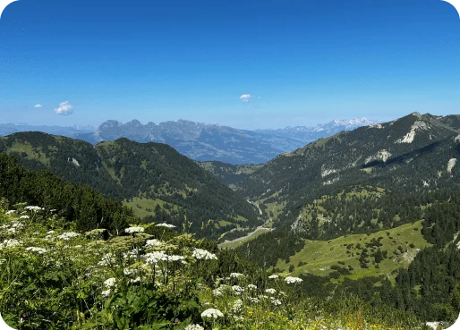 Liechtenstein eSIM