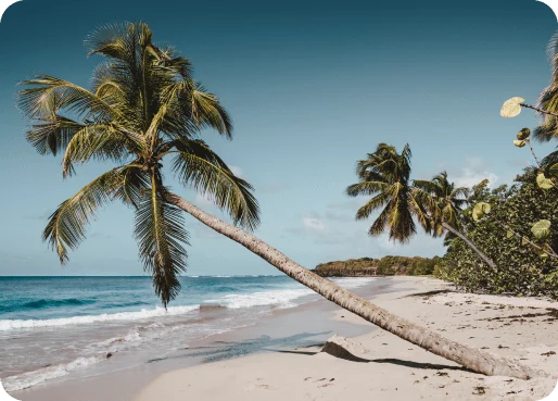 Martinique eSIM