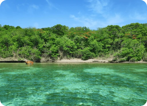 Martinique eSIM