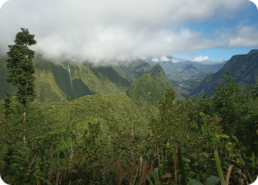 Réunion eSIM