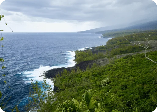 Réunion eSIM