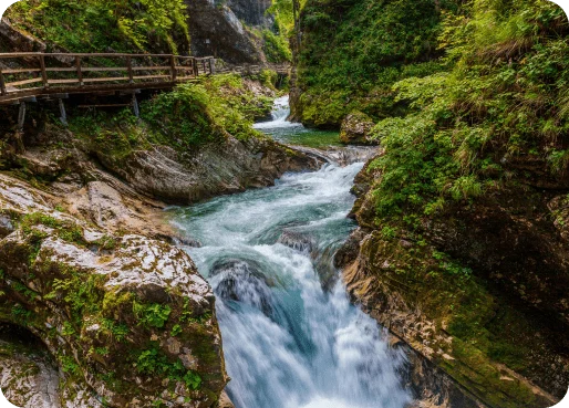 Slovenia eSIM