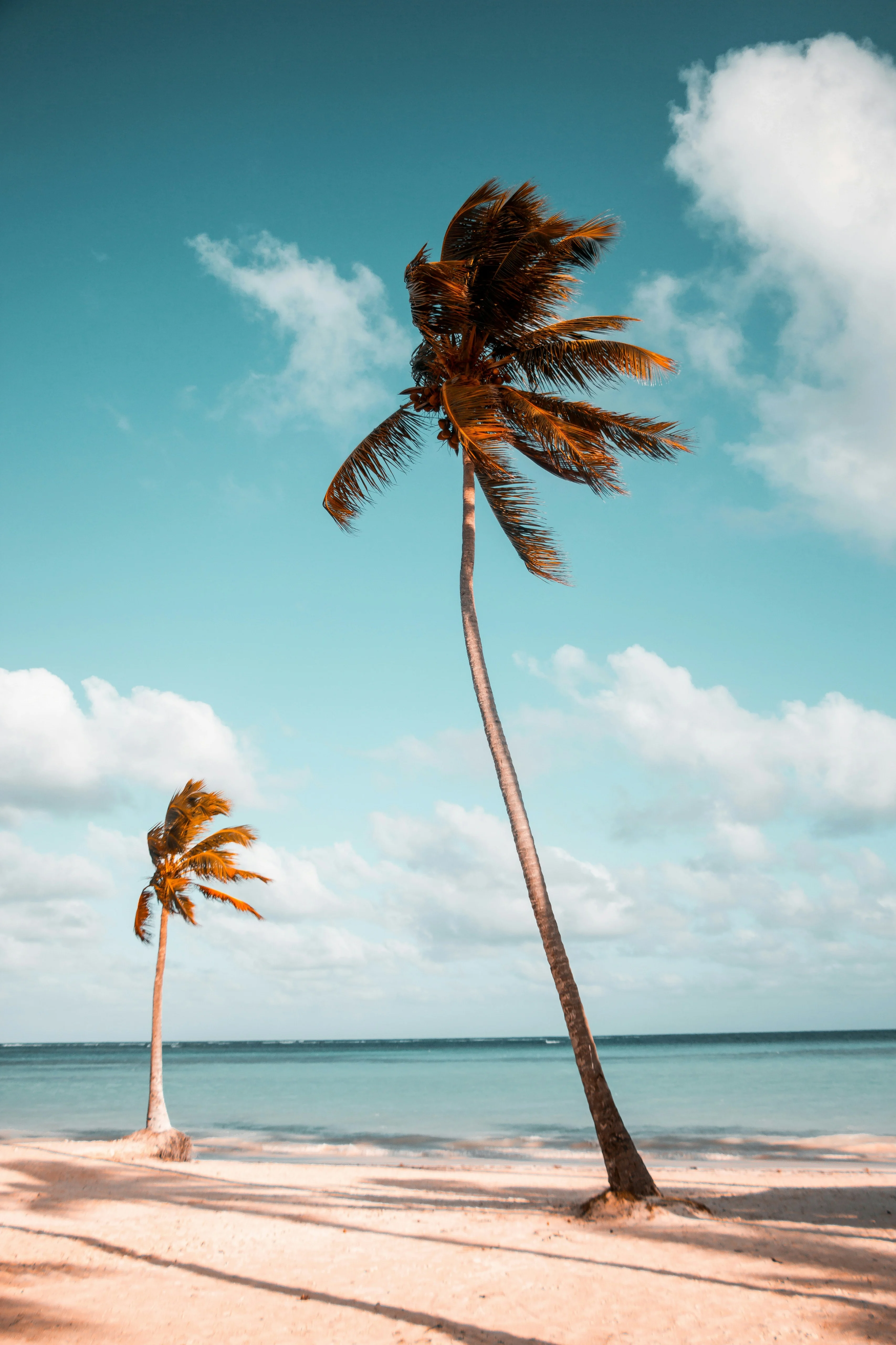 Dominica