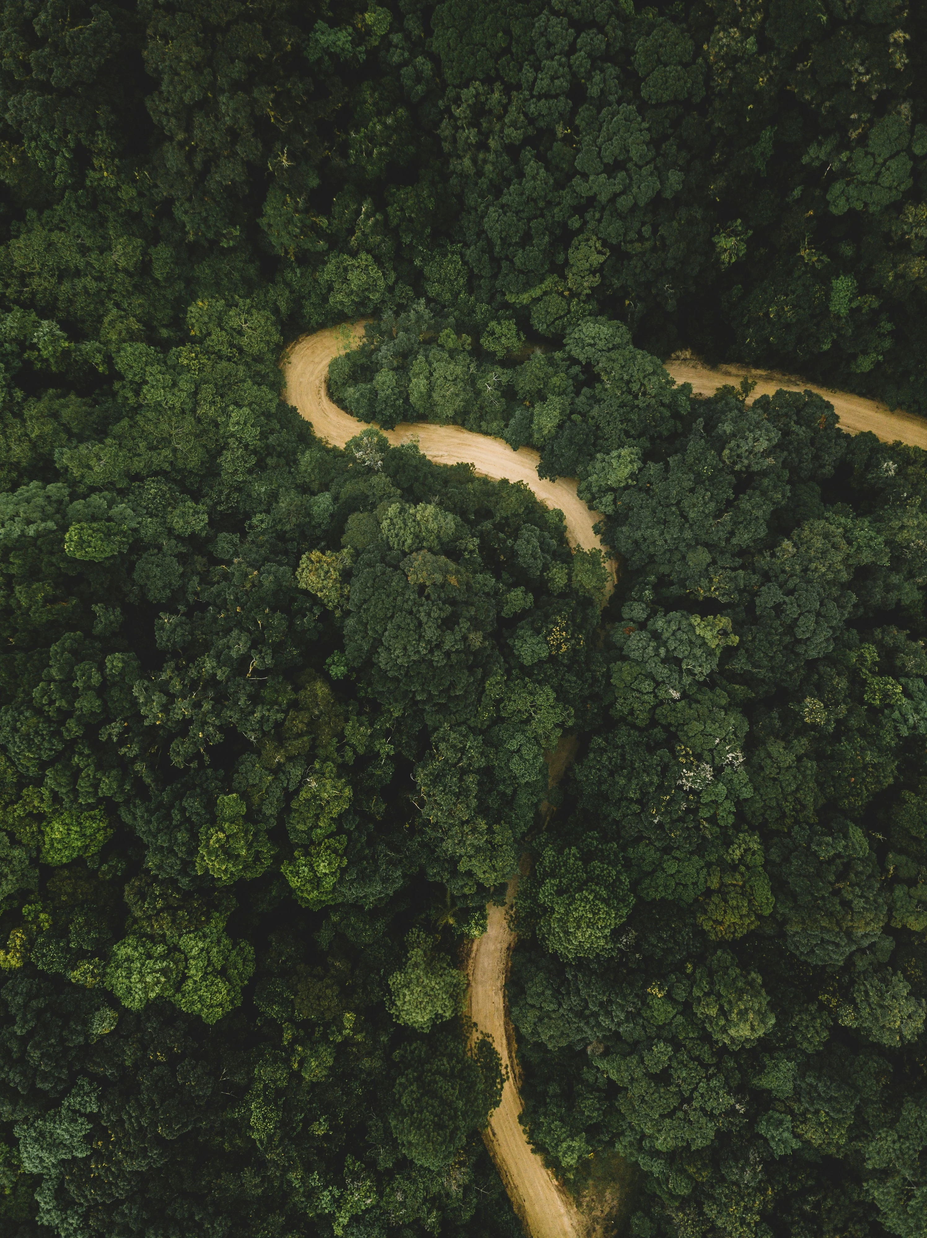 Honduras