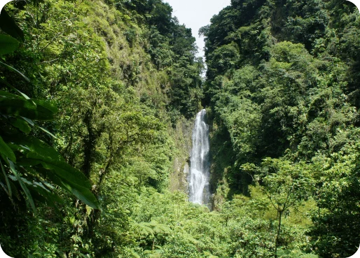 Dominica eSIM