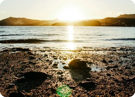 Mayotte eSIM