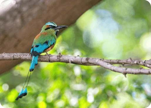 Nicaragua eSIM