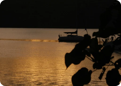 Tonga eSIM