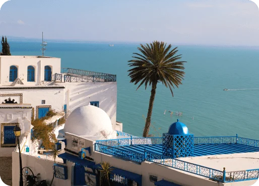 Tunisia-esim-why-esim-2