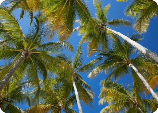 Guadeloupe eSIM