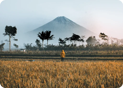 Indonesia eSIM