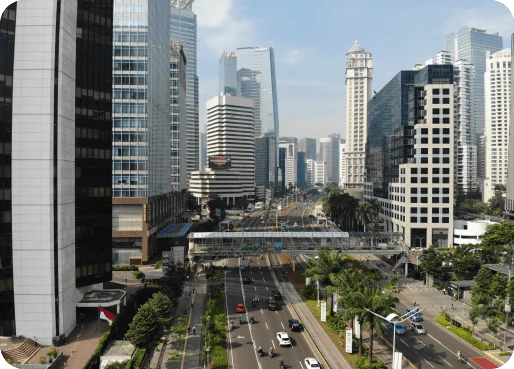 Indonesia eSIM