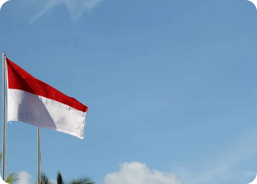 Indonesia eSIM