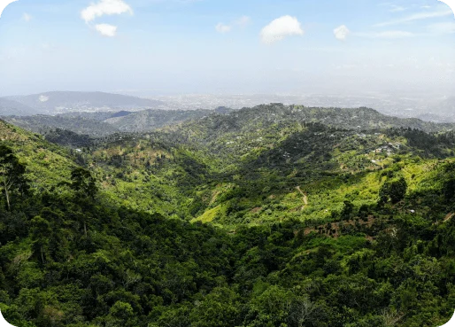 Jamaica eSIM