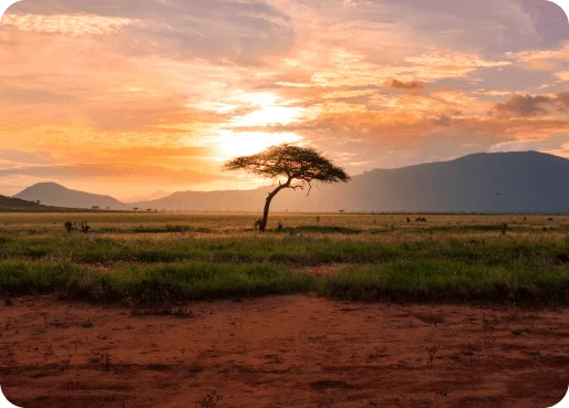 Kenya eSIM