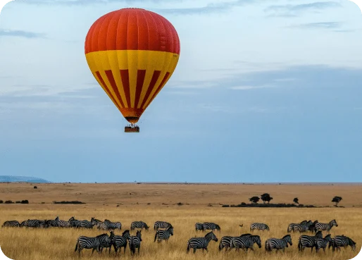 Kenya eSIM