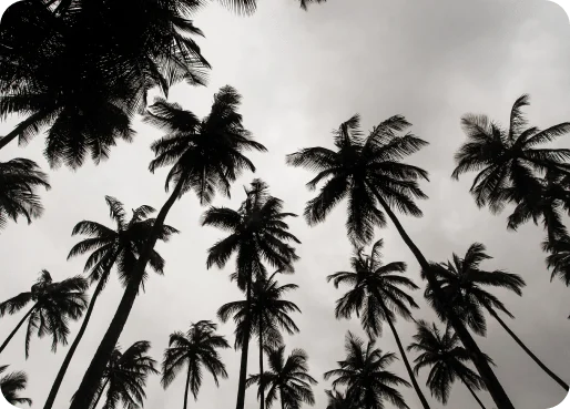Liberia eSIM