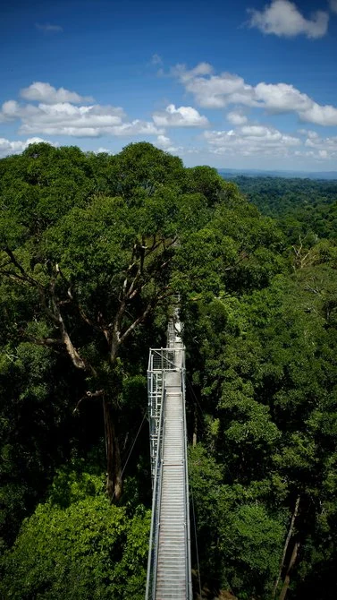 Brunei-esim-data-from-alosim