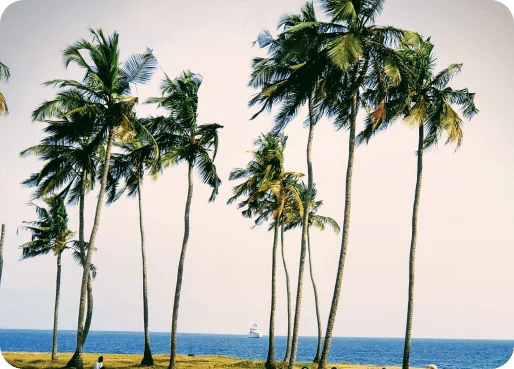 Ivory Coast (Côte d'Ivoire) eSIM