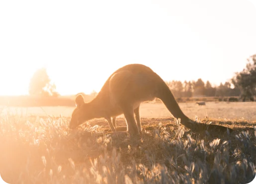 Australia Vacation