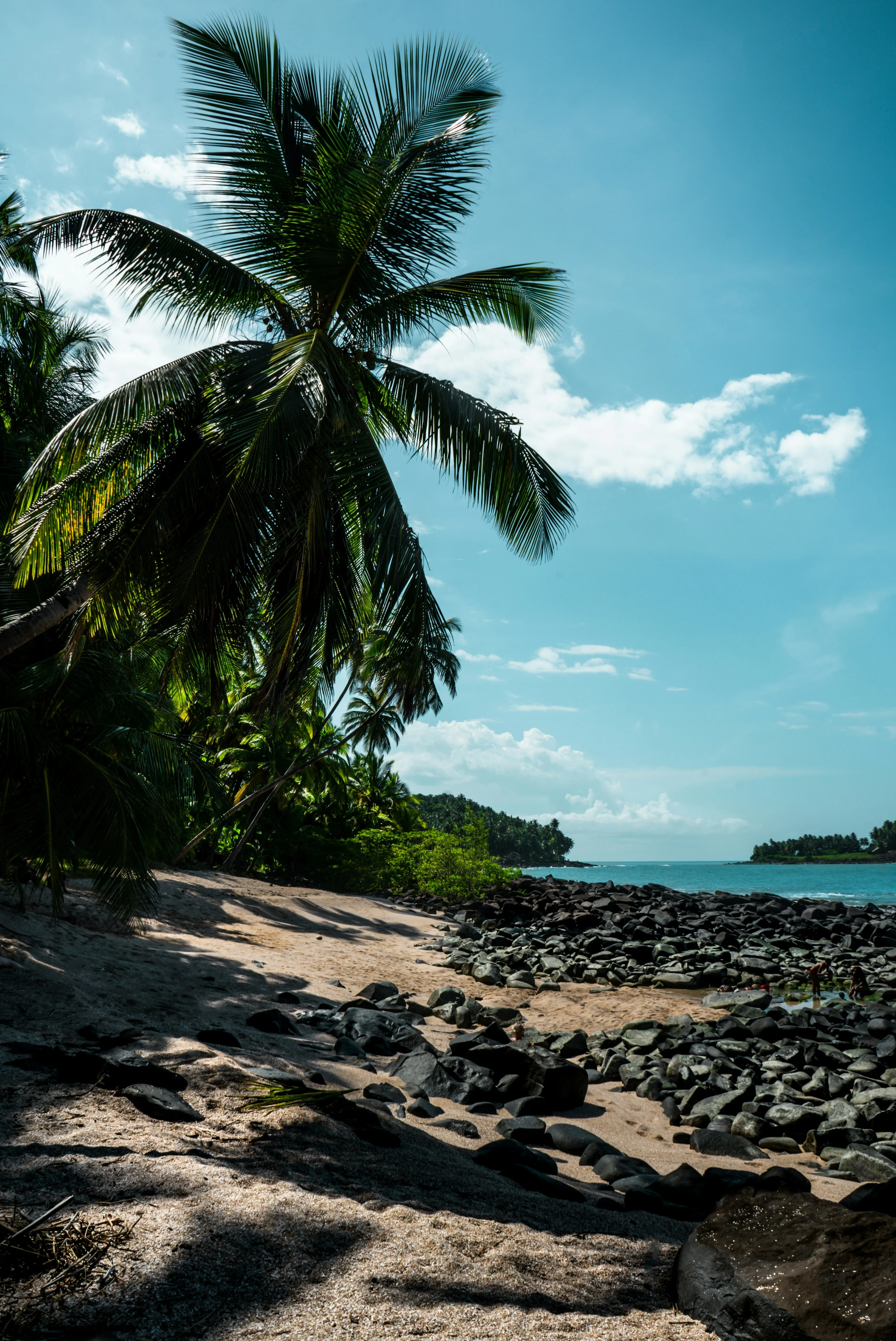 french-guiana