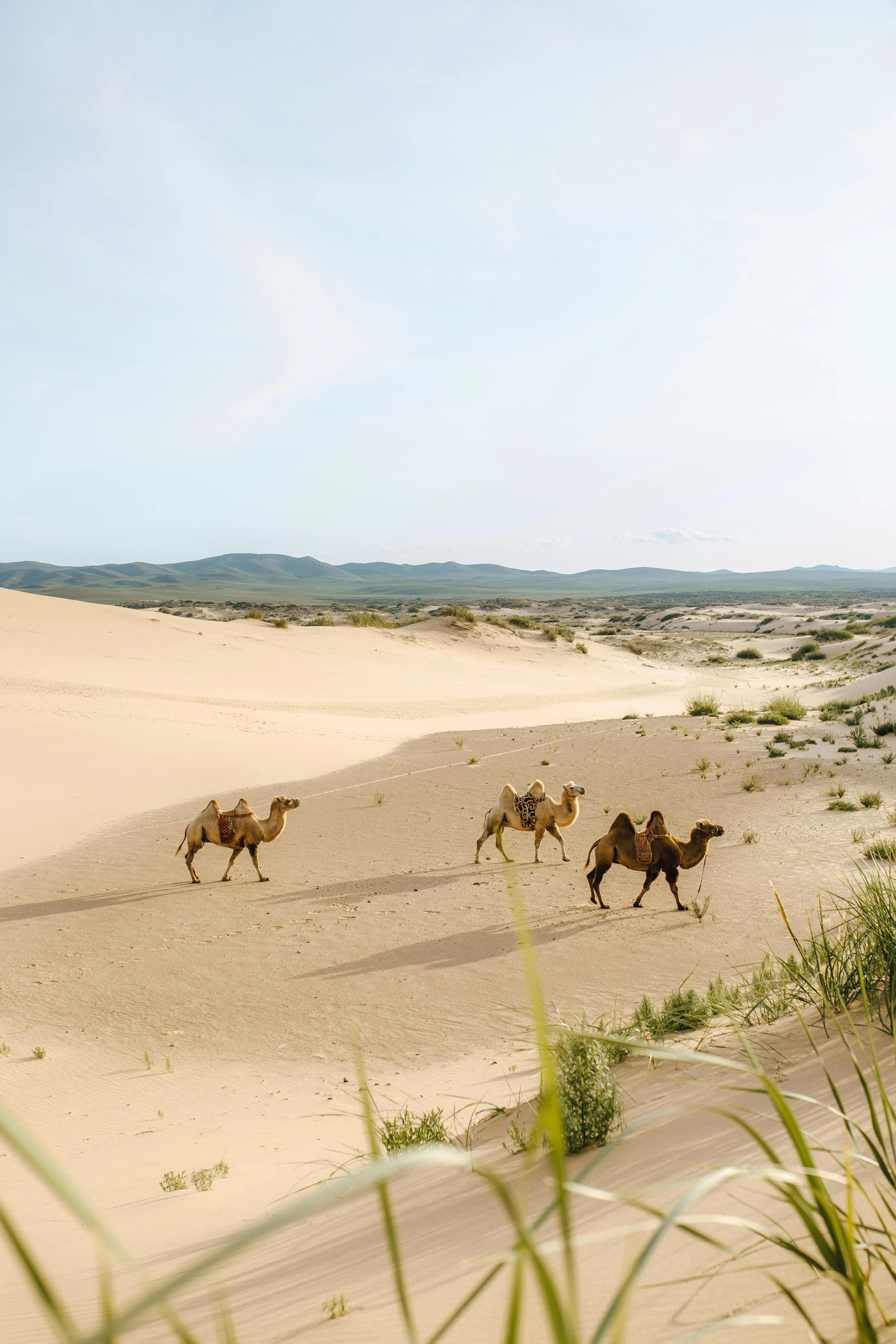 Mongolia