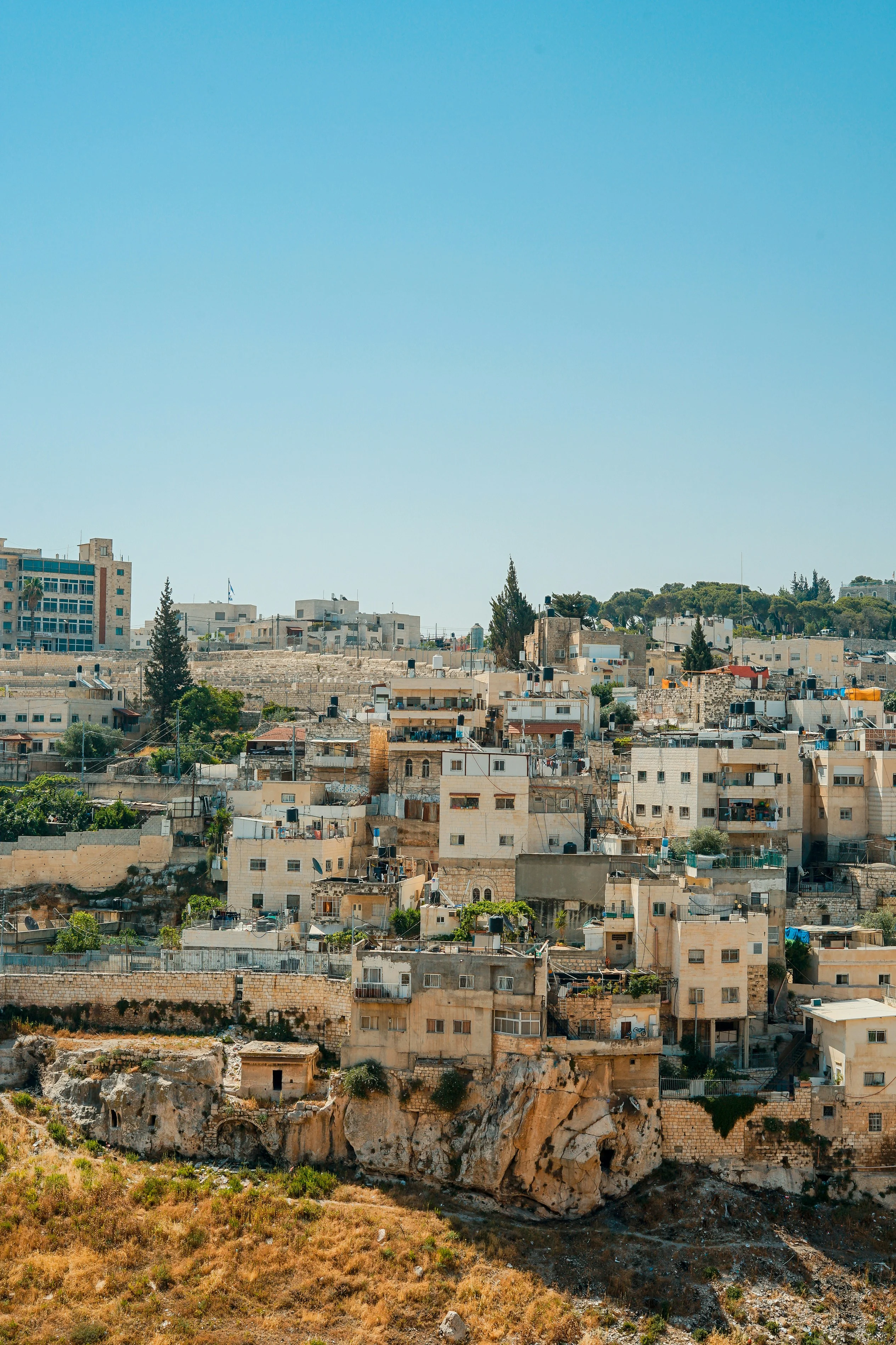 state-of-palestine-