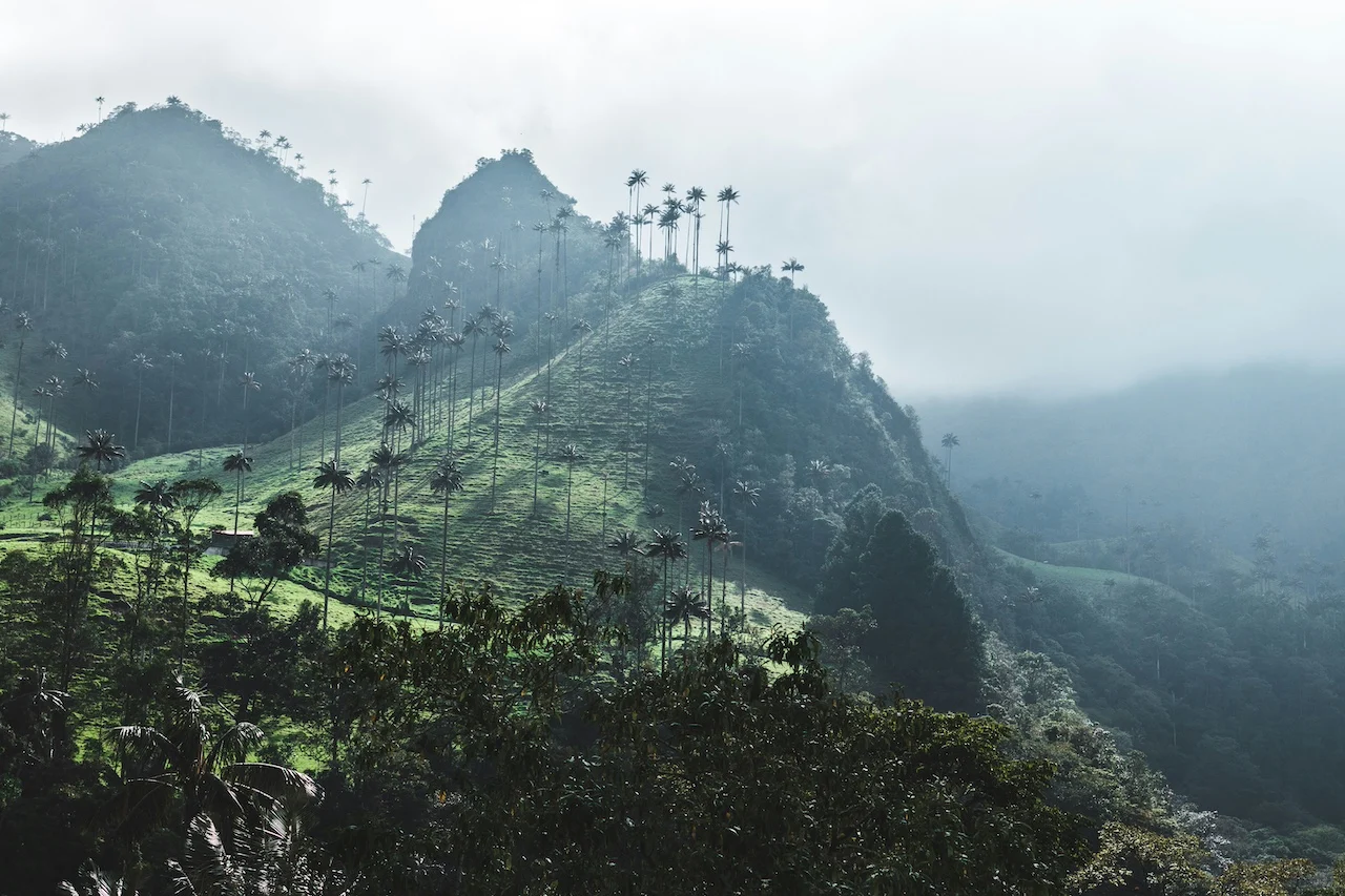 colombia vacation