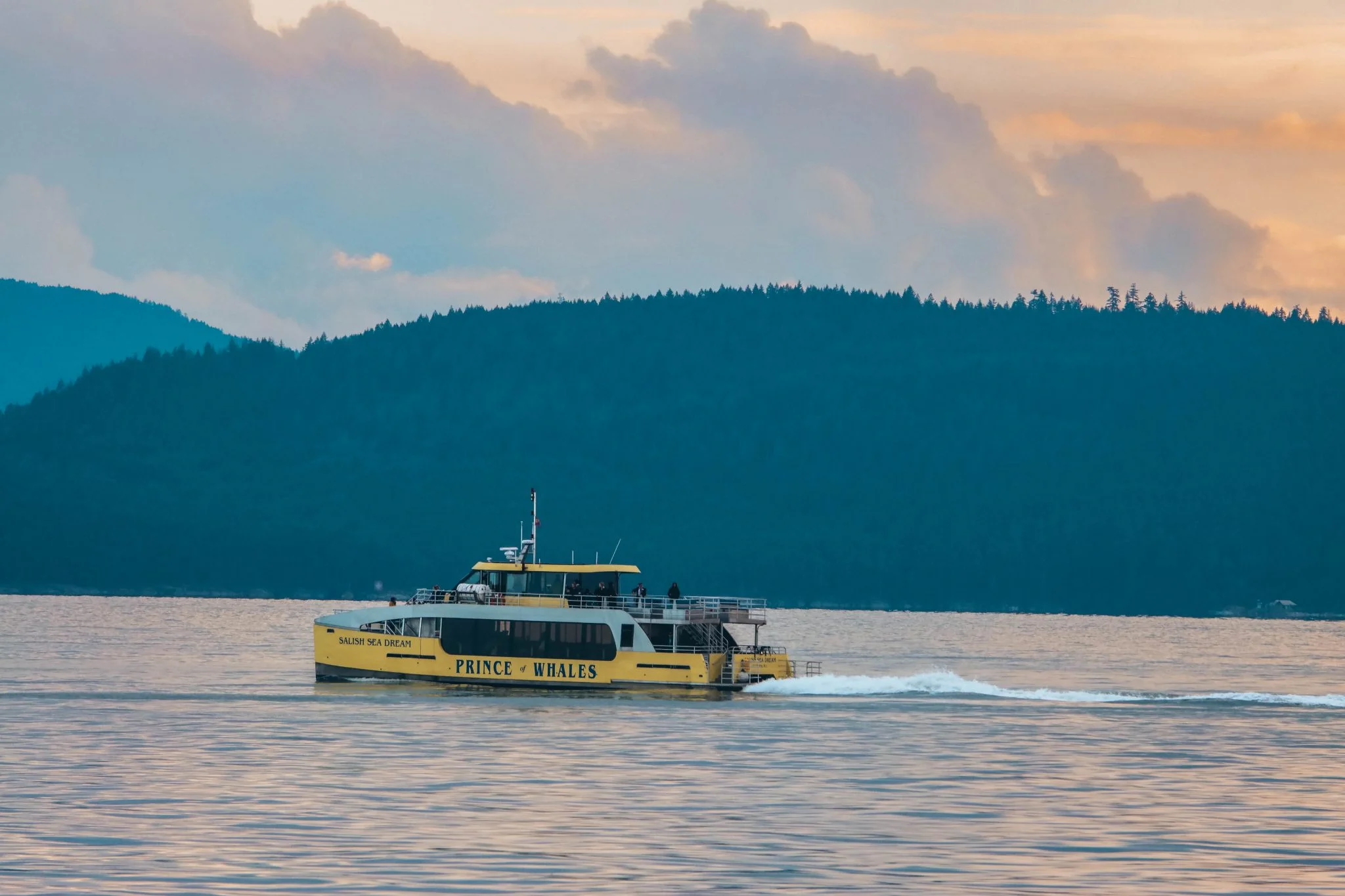 Prince-of-Whales-Whale-Watching-Vancouver