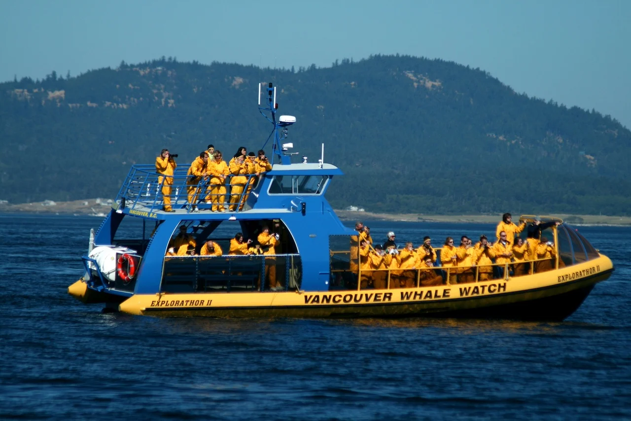 Vancouver Whale Watch boat