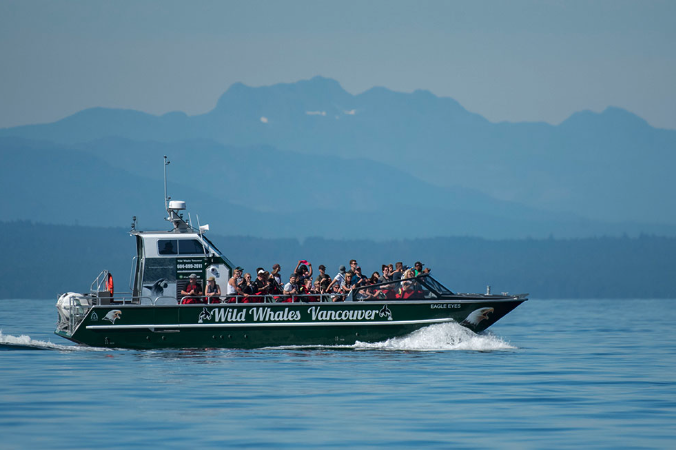 663d2fc5e2342-Whales Vancouver boat