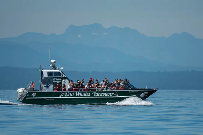 Whales Vancouver boat