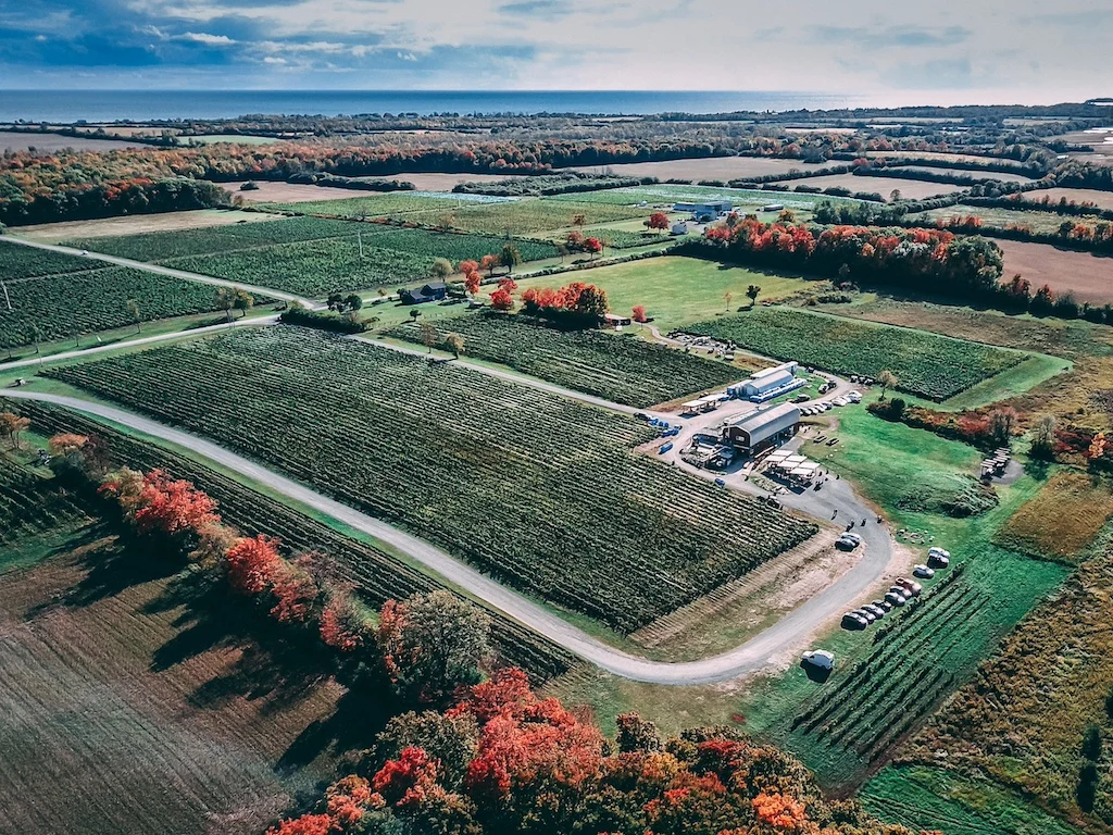 Normal Hardie winery