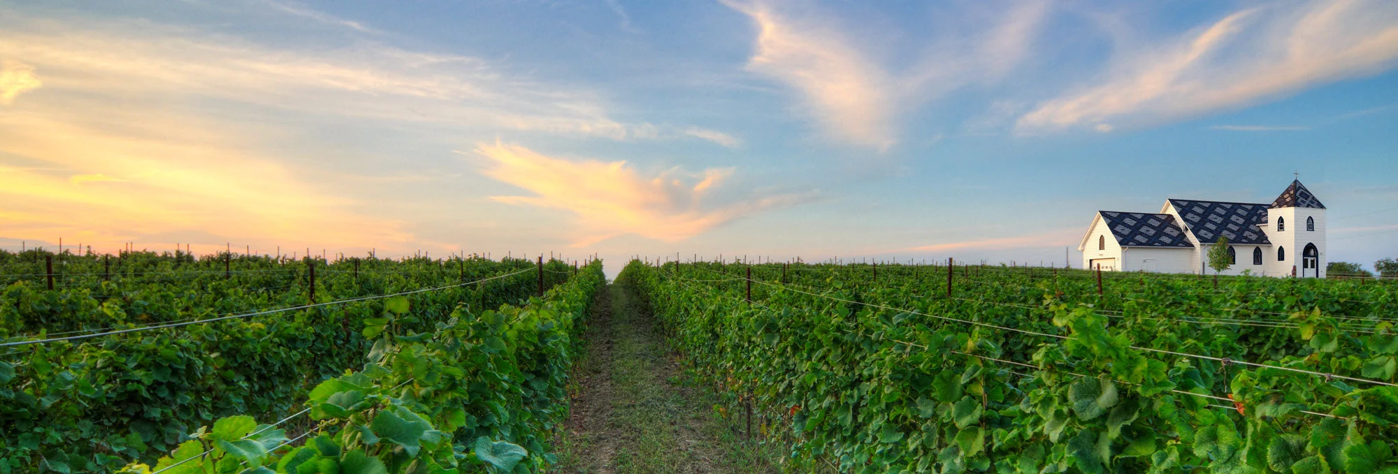 Closson Chase Vineyards