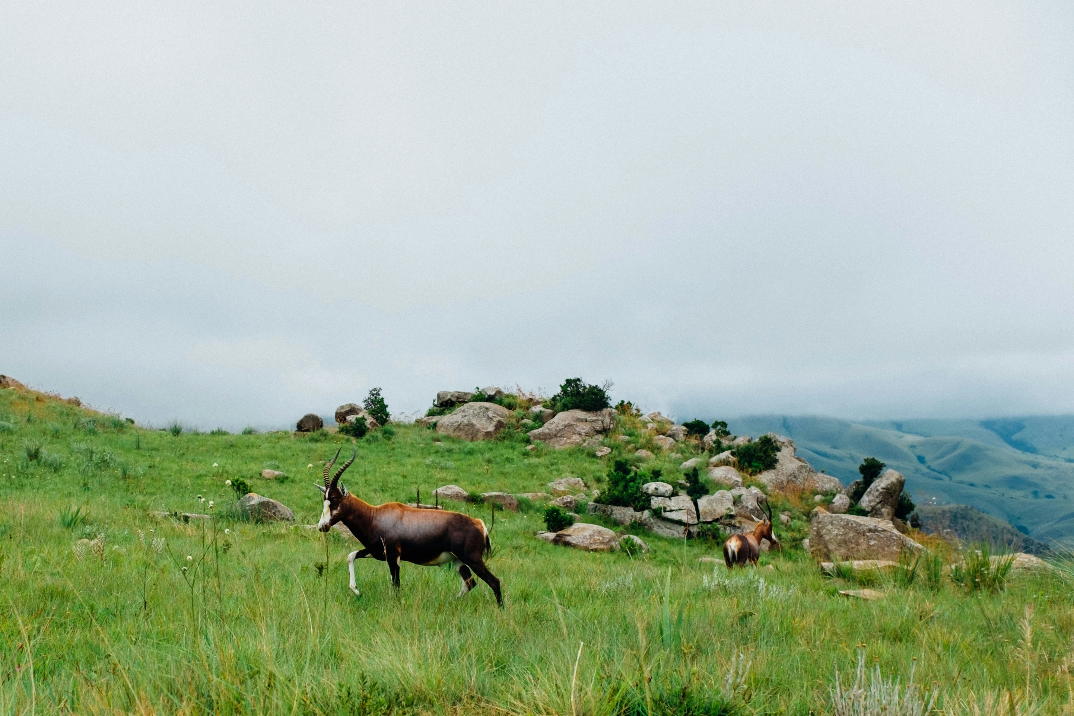Eswatini