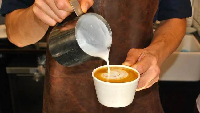 patricia coffee brewers