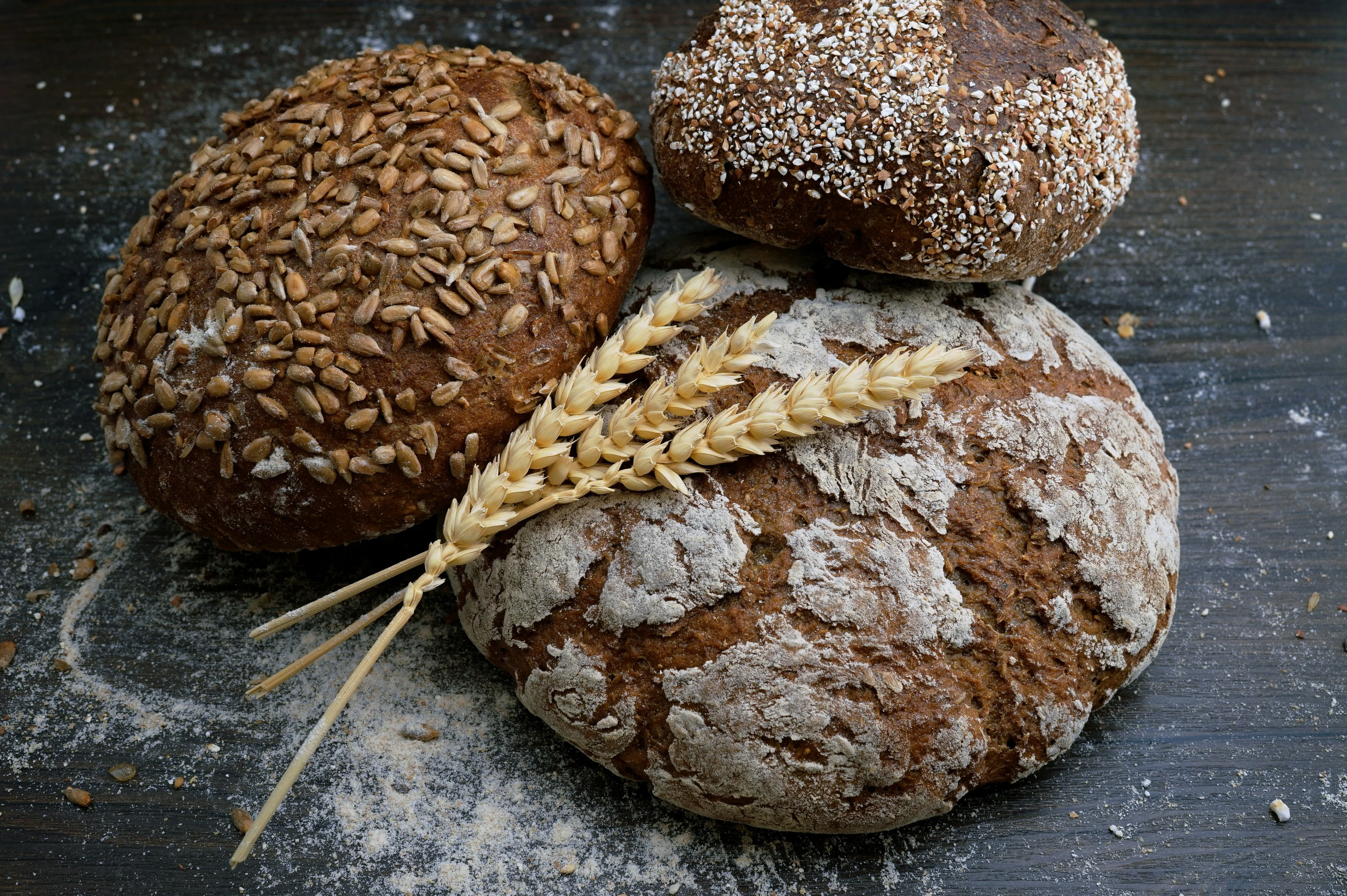 Why is San Francisco's Climate Ideal for Sourdough