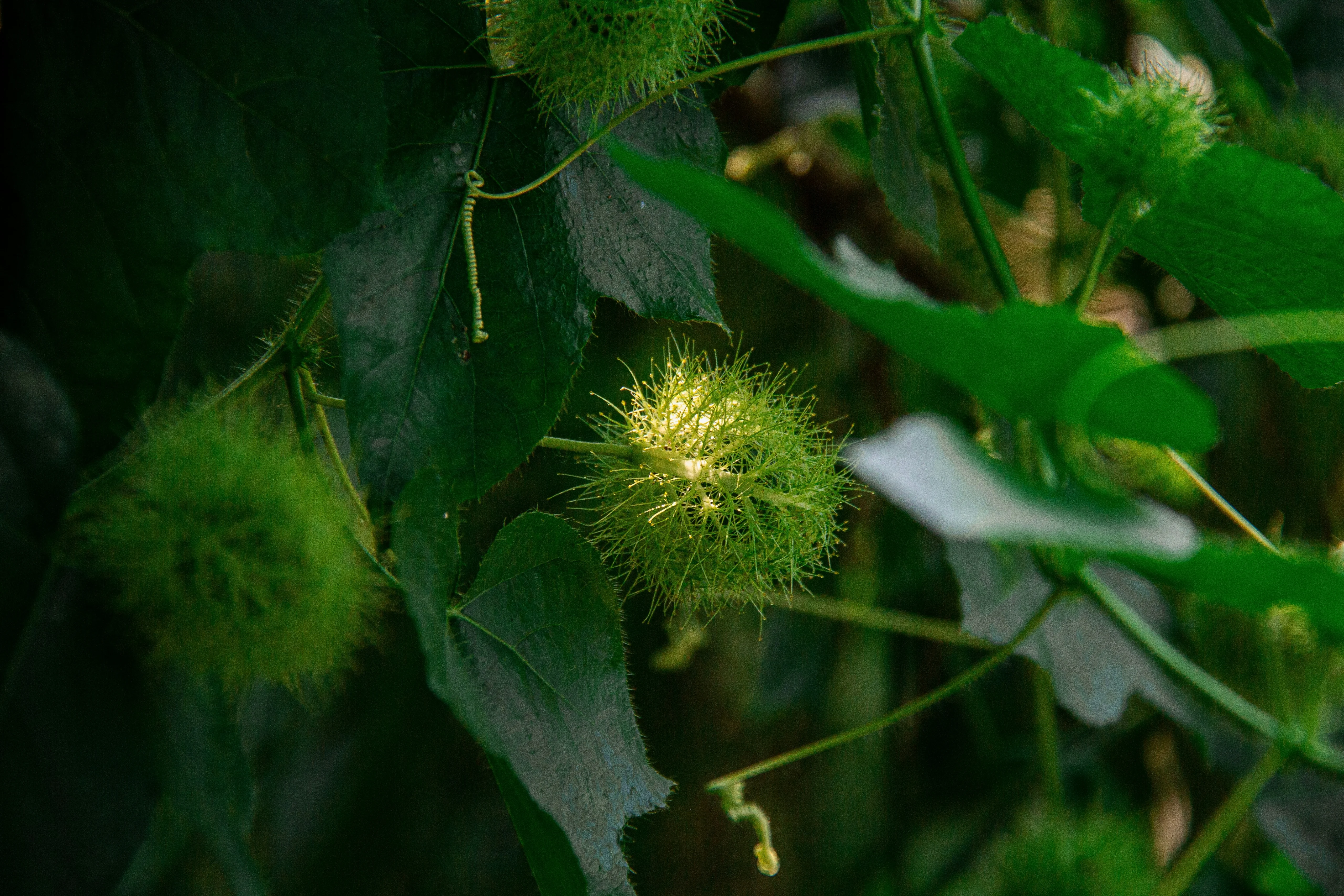66bab5735b655-jealife-pictures-J4NEpqqmqZI-unsplash