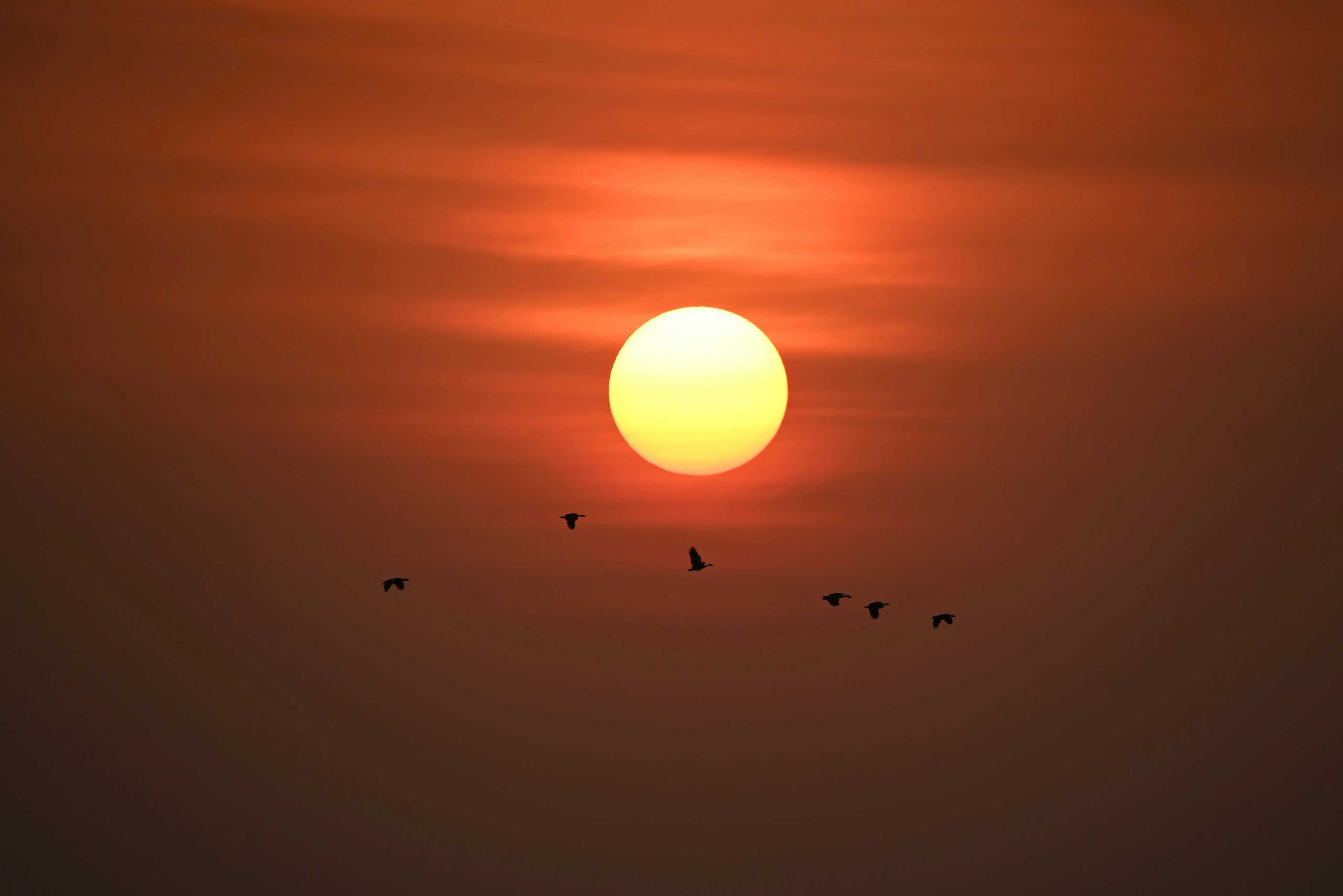 66bac0f9effb0-britt-weckx-RIIgQyNwORE-unsplash