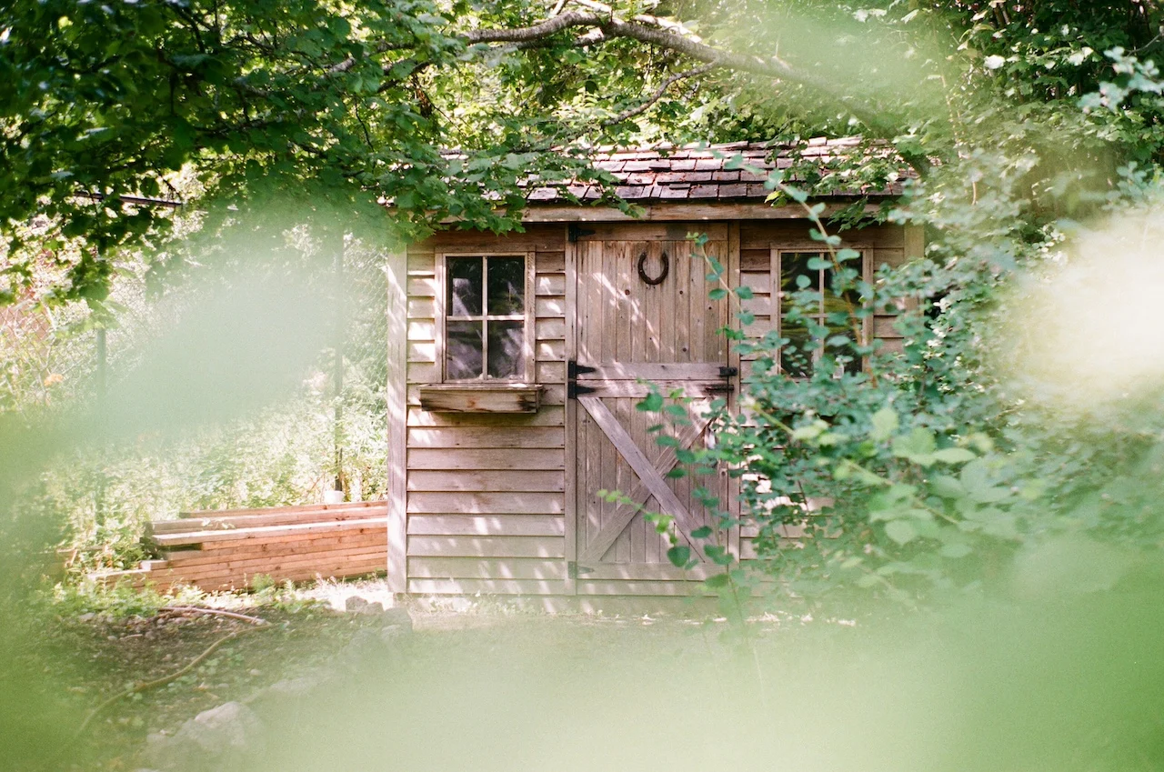 bunkie