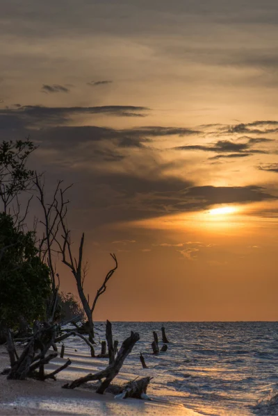 Suriname eSIM