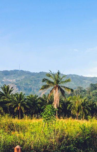 togo-eSIM-data
