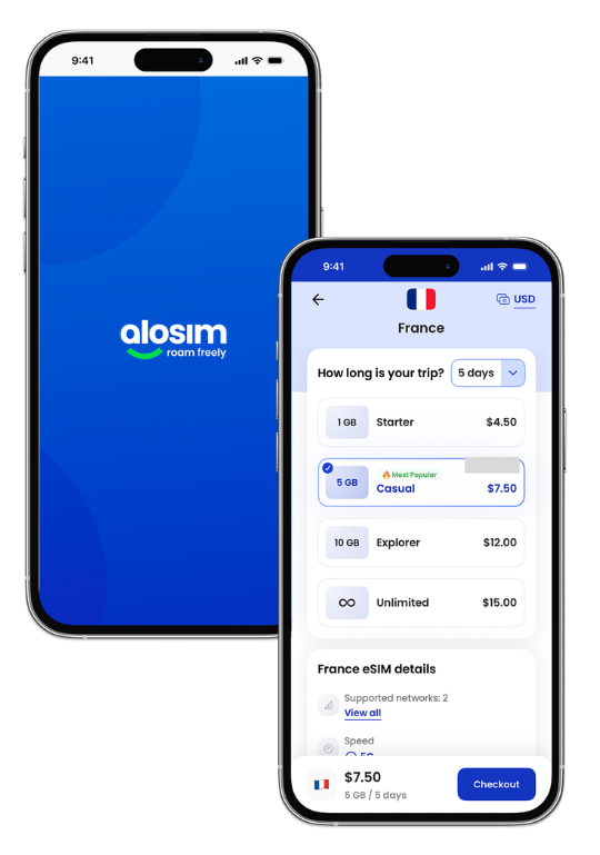 6a60d1f848993-Meet aloSIM