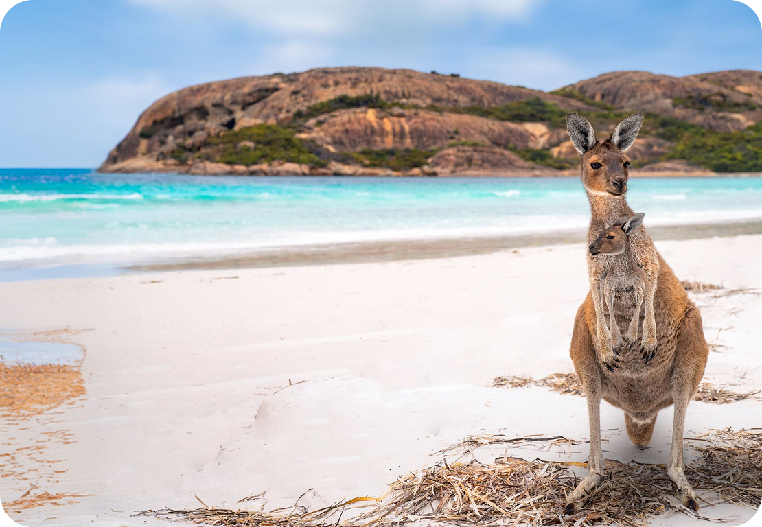 6a7b133a806f9-Australia and NZ