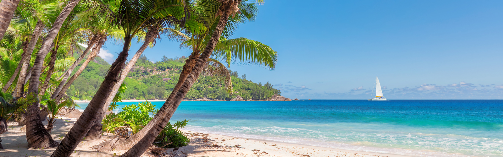 Best-time-to-visit-Jamaica
