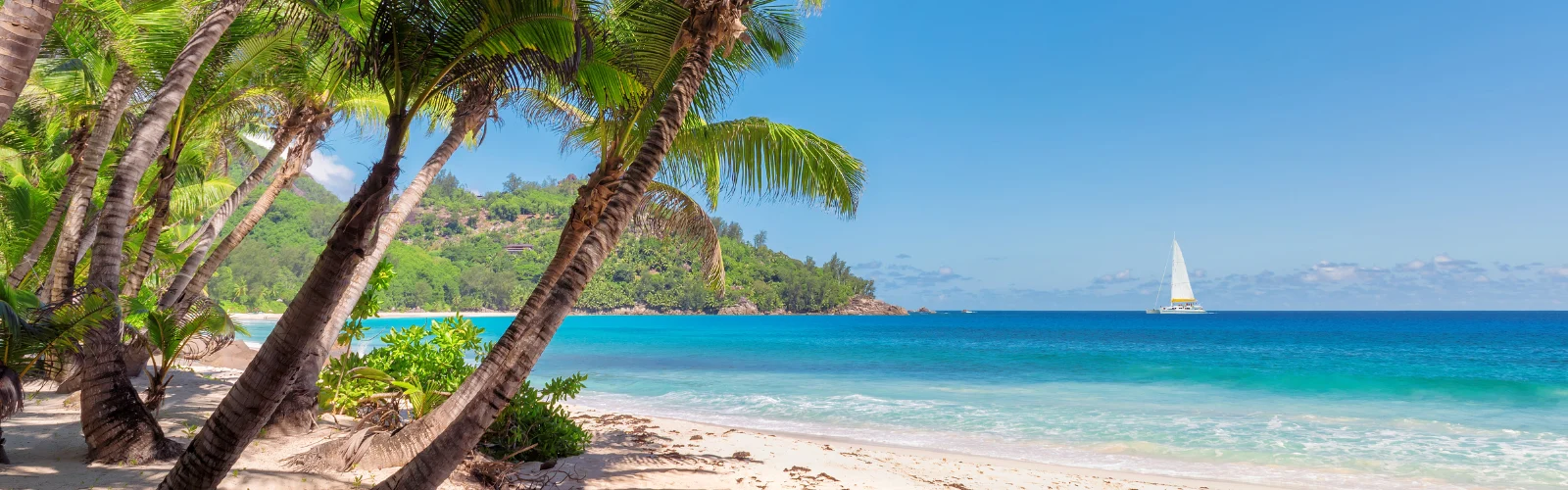 Best-time-to-visit-Jamaica